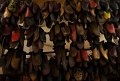 9905 a_DSC_0064